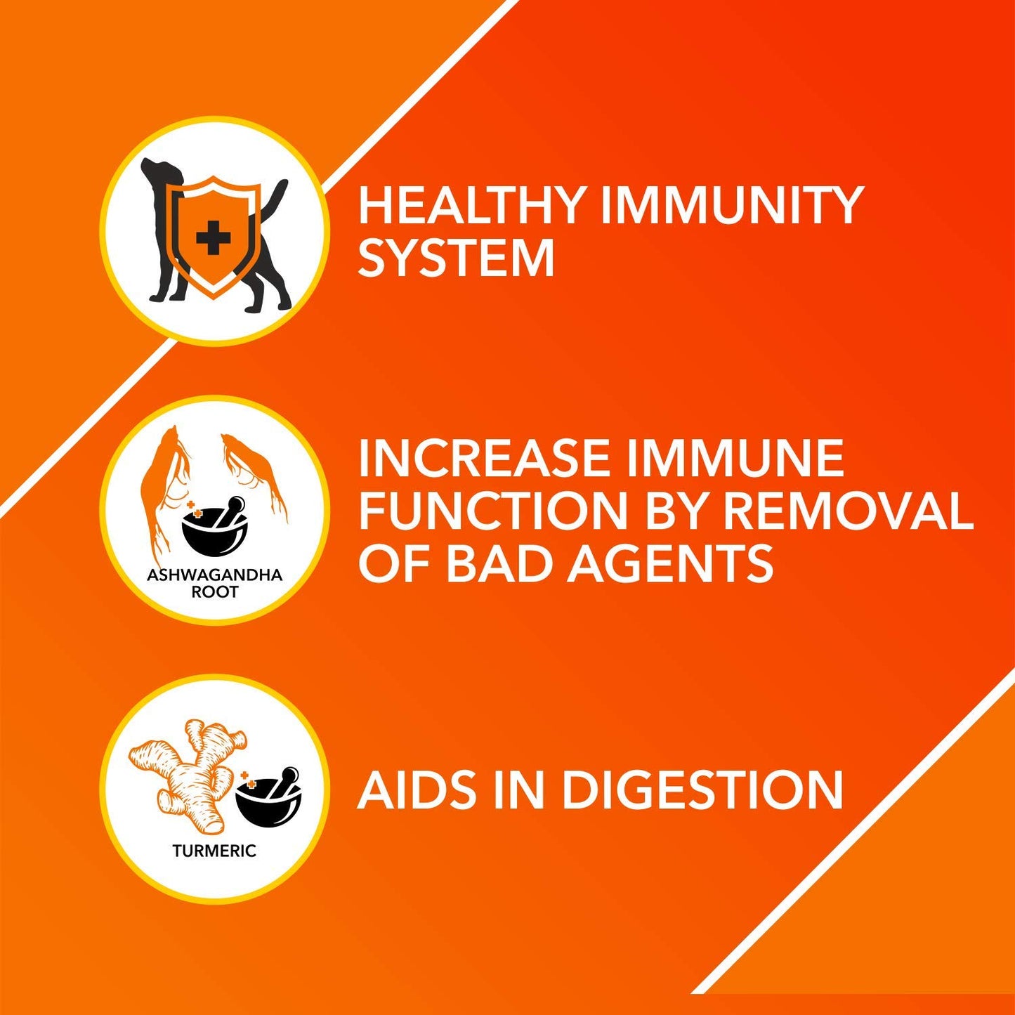 Drools Absolute Immunity Tablet - Dog