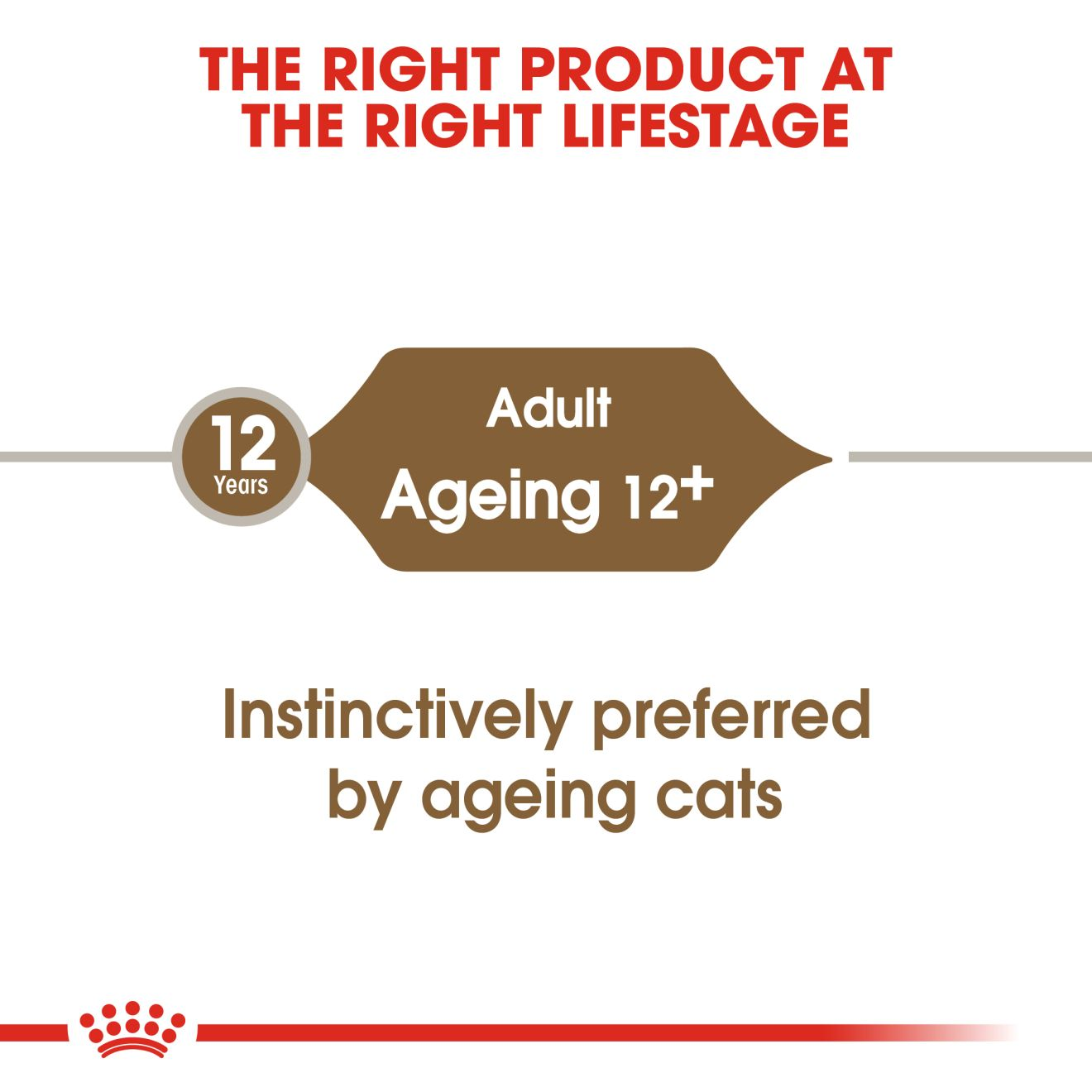 Royal Canin Ageing 12+ Cat Gravy