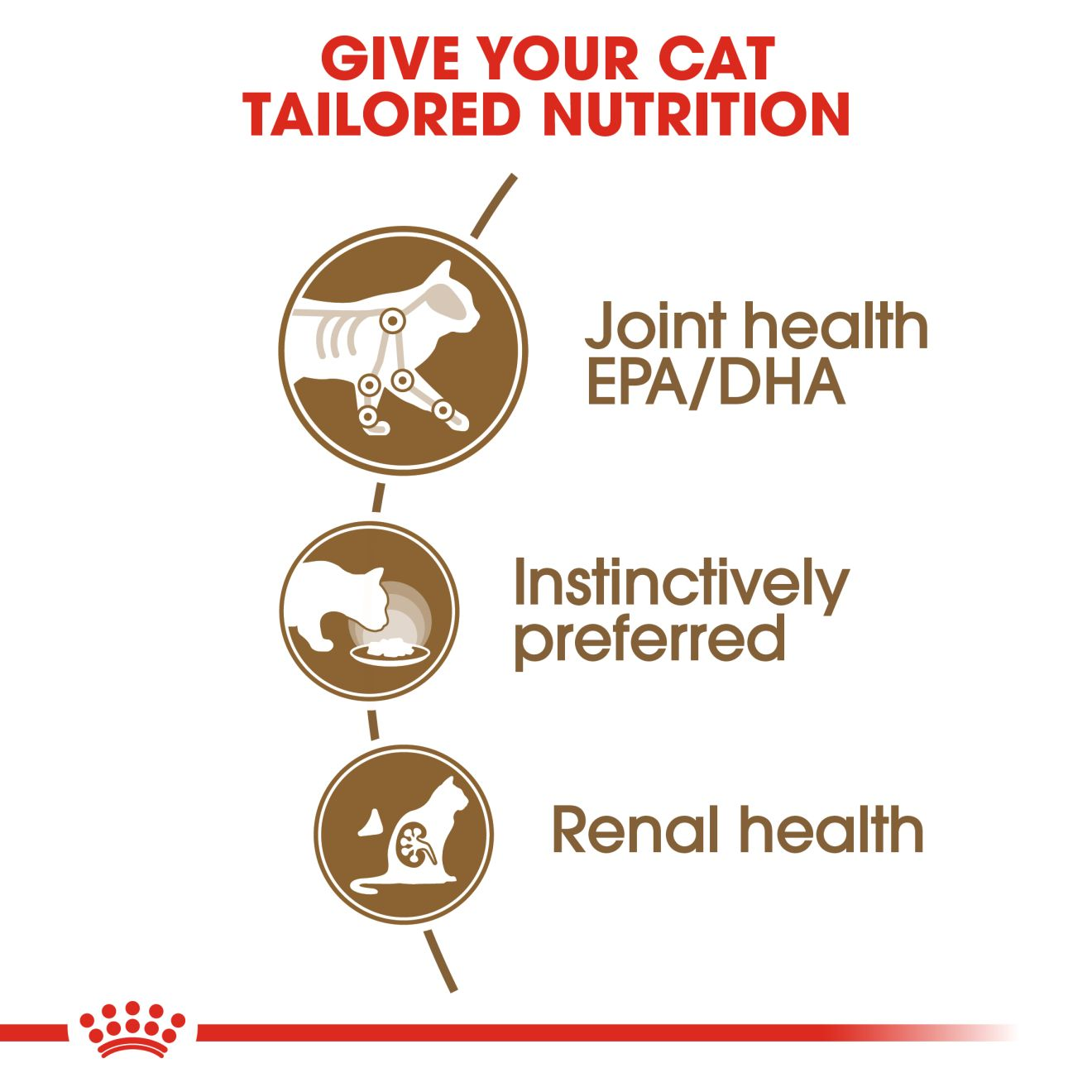 Royal Canin Ageing 12+ Cat Gravy