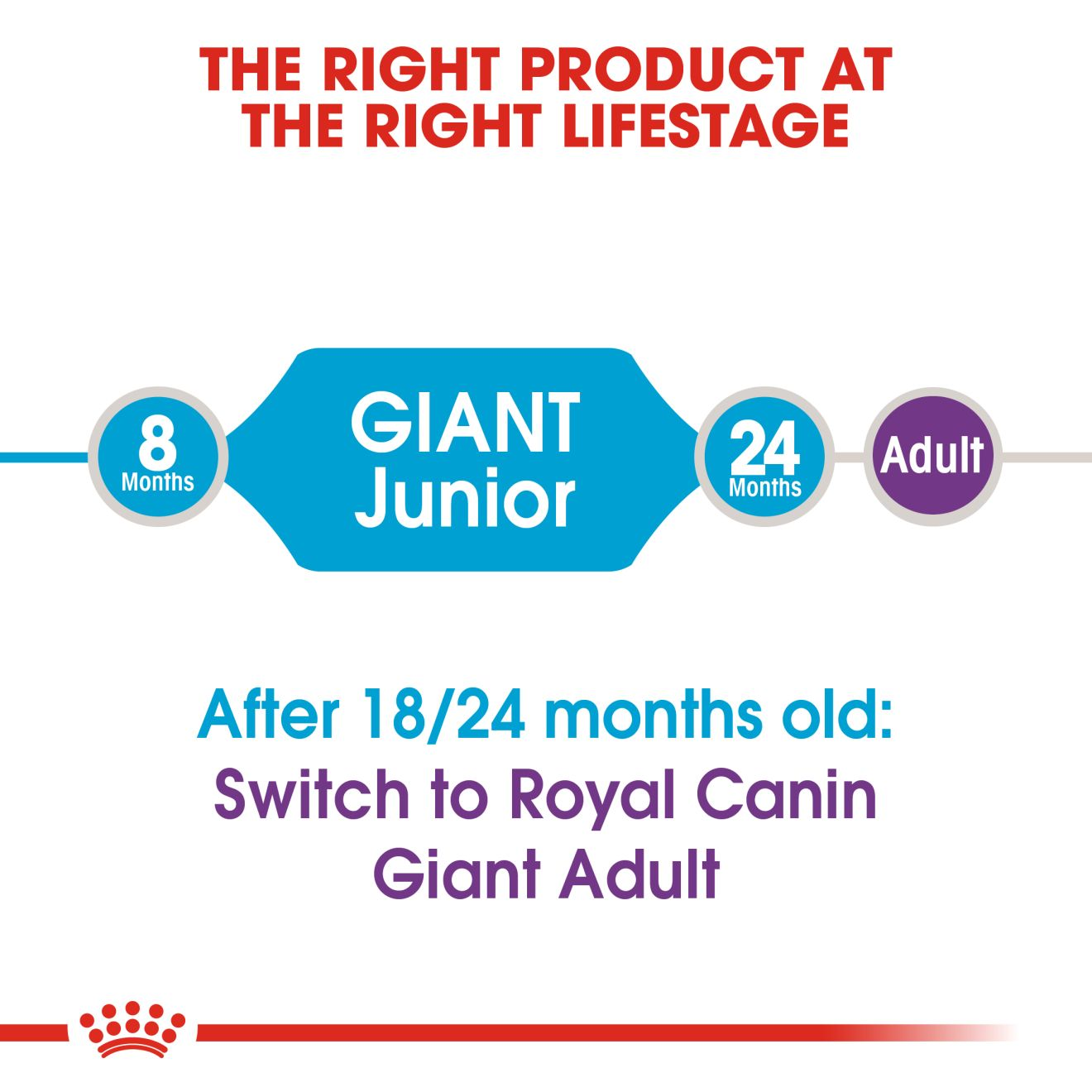 Royal Canin Giant Junior