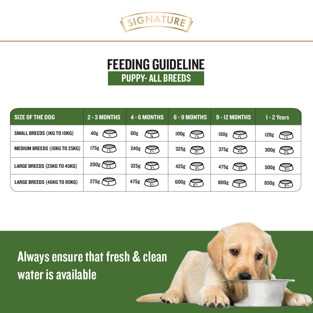 Signature Grain Zero Wet Puppy Food - Chicken Chunks In Gravy