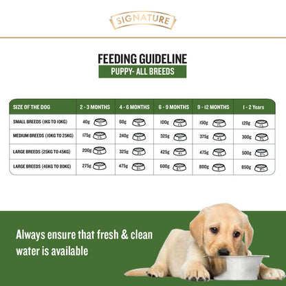 Signature Grain Zero Wet Puppy Food - Chicken Chunks In Gravy