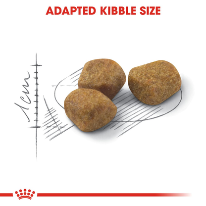Royal Canin Indoor 7+