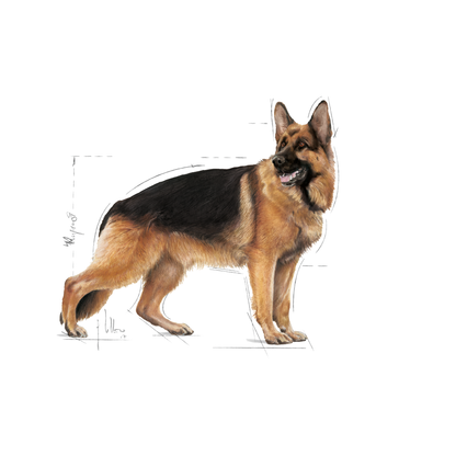 Royal Canin Exigent Care