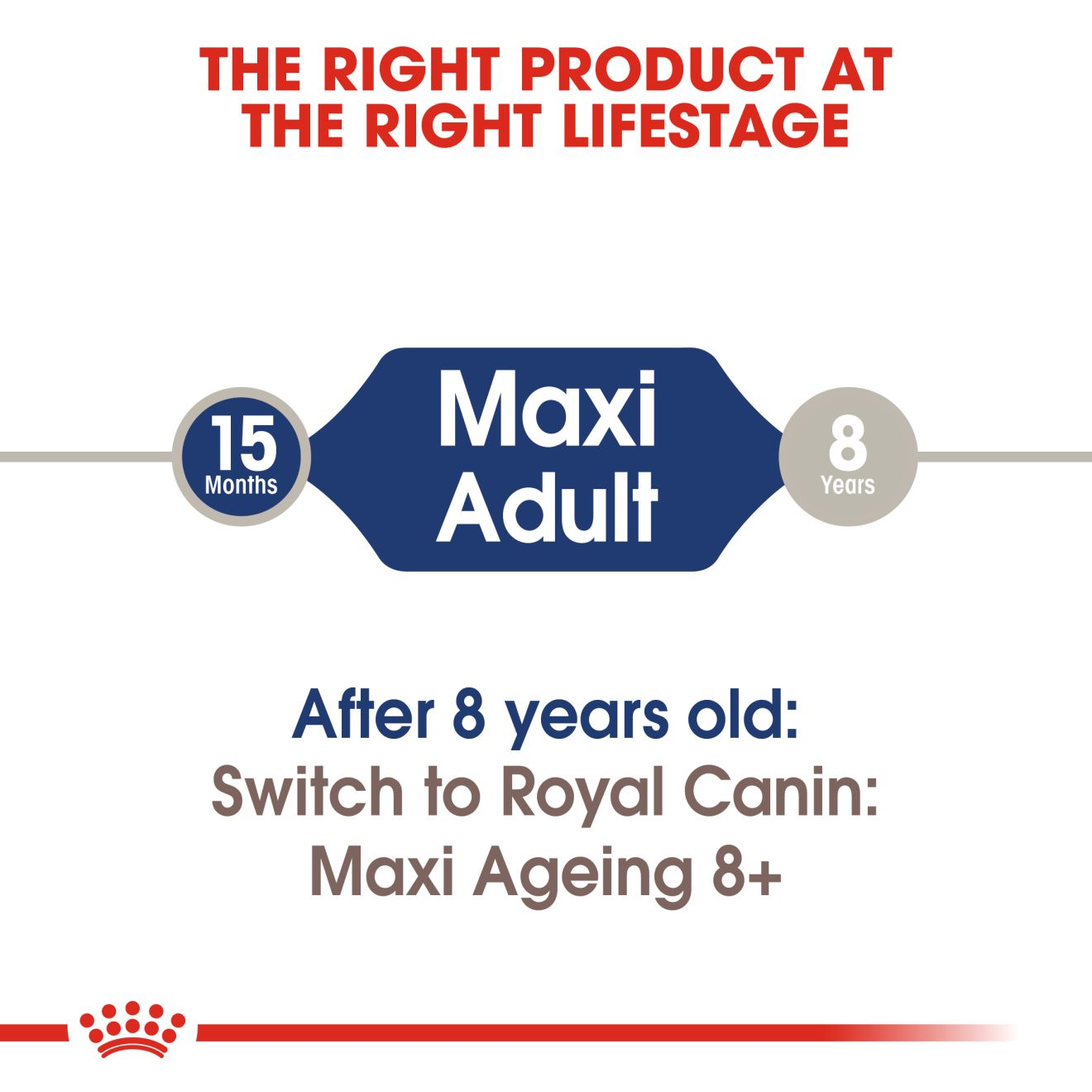 Royal Canin Exigent Care