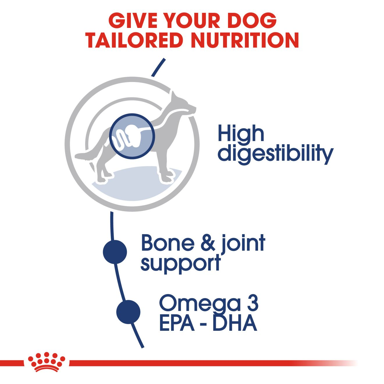 Royal Canin Exigent Care