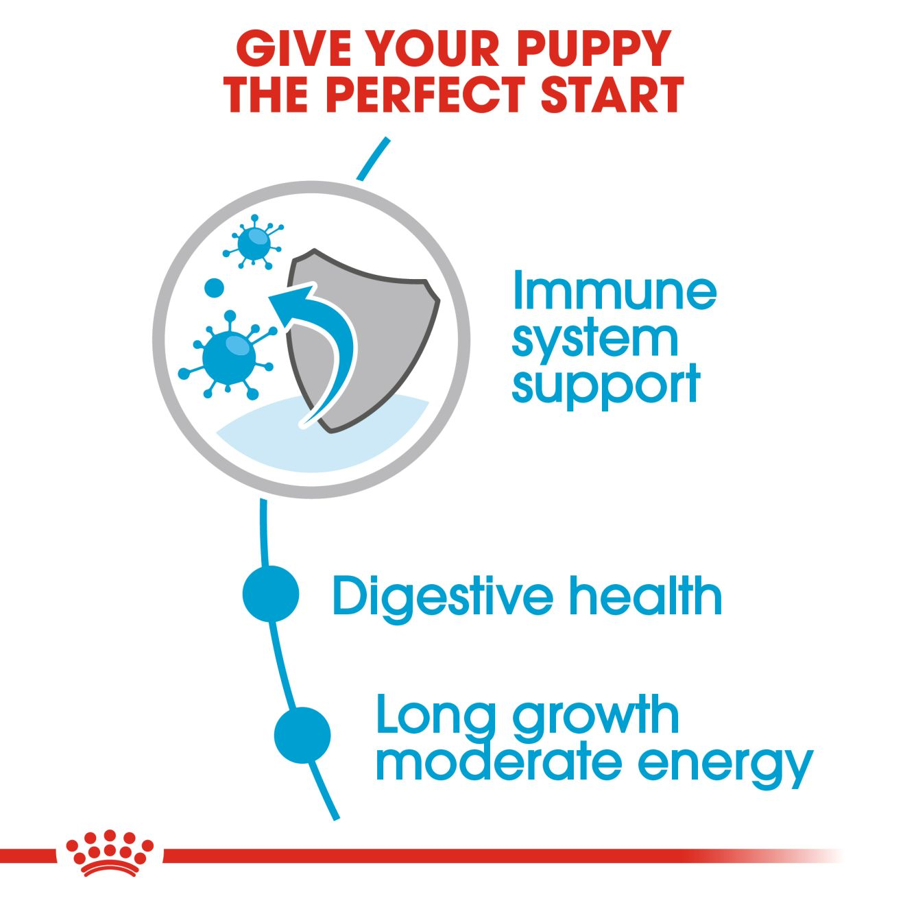 Royal Canin Maxi Puppy