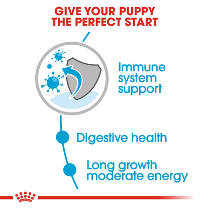 Royal Canin Maxi Puppy